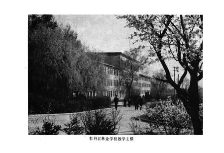 《黑龙江省森林工业教育志》.pdf电子版_黑龙江省志插图5