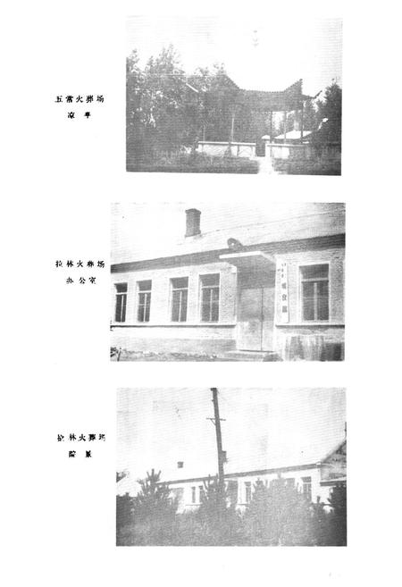 《五常县民政志》.pdf电子版_黑龙江省志插图3