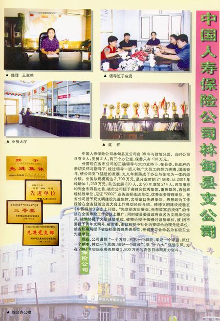 《《林甸县简志(2001年)》》.pdf电子版_黑龙江省志插图5 《《林甸县简志(2001年)》》.pdf电子版_黑龙江省志插图5