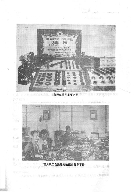 《哈尔滨自行车零件一厂志(1954-1984.12)》.pdf电子版_黑龙江省志插图3