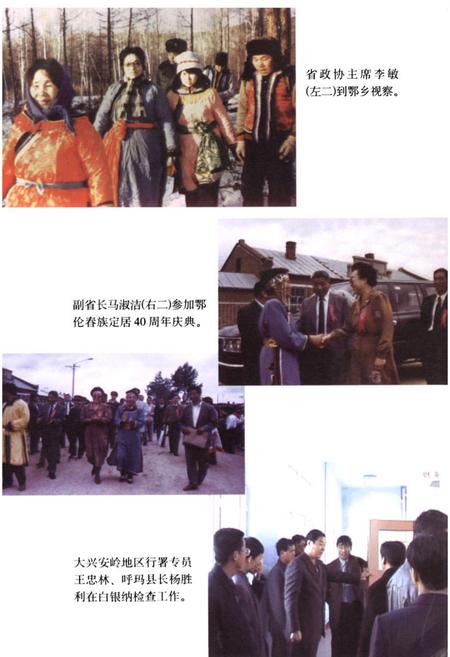 《白银纳鄂伦春族乡志》.pdf电子版_黑龙江省志插图5