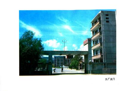 《牡丹江树脂厂厂志(1965-1982)》.pdf电子版_黑龙江省志插图2