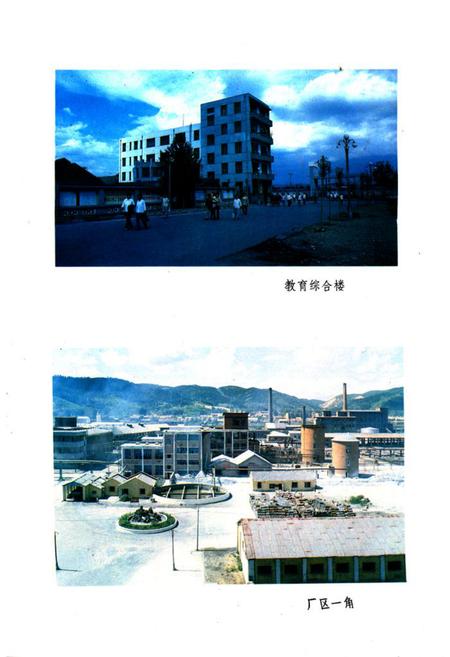 《牡丹江树脂厂厂志(1965-1982)》.pdf电子版_黑龙江省志插图3