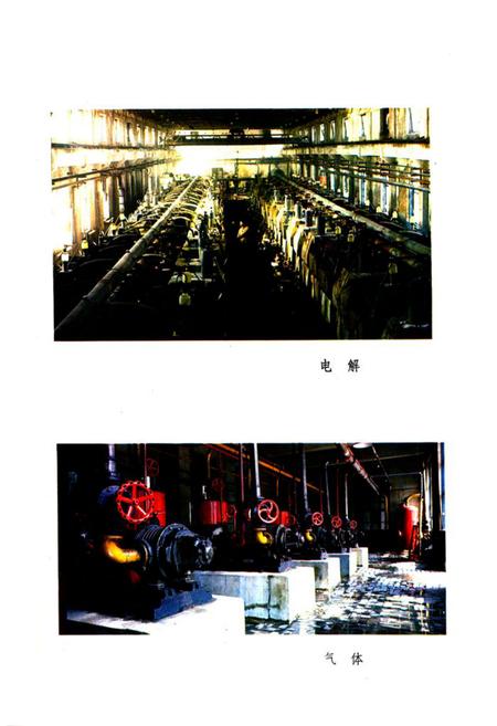 《牡丹江树脂厂厂志(1965-1982)》.pdf电子版_黑龙江省志插图4