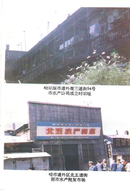 《《哈尔滨水产供销志》》.pdf电子版_黑龙江省志插图4