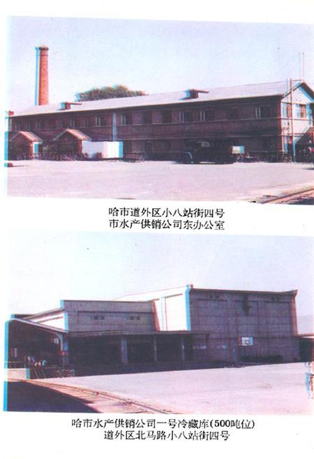 《《哈尔滨水产供销志》》.pdf电子版_黑龙江省志插图5