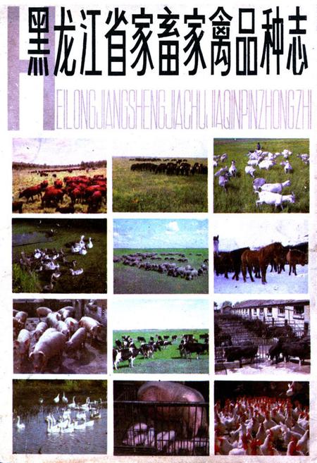 《《黑龙江省家畜家禽品种志》》.pdf电子版_黑龙江省志