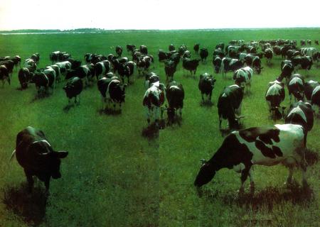 《《黑龙江省家畜家禽品种志》》.pdf电子版_黑龙江省志插图2