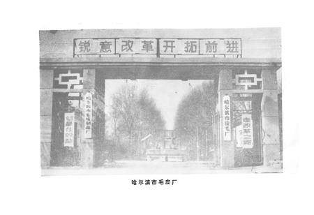 《哈尔滨市皮毛厂志(1948-1984)》.pdf电子版_黑龙江省志插图4