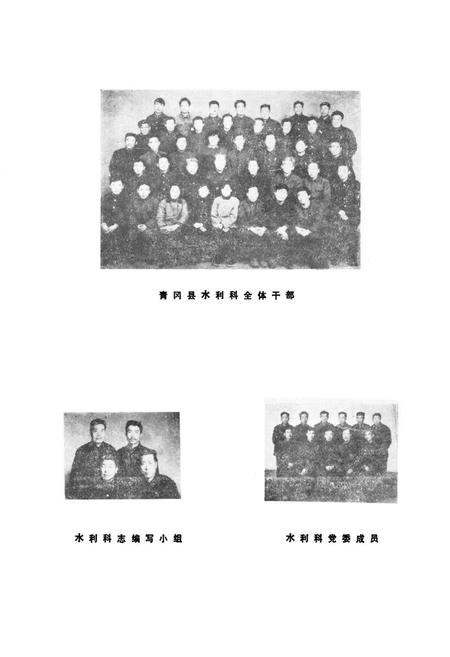 《《水利科志》》.pdf电子版_黑龙江省志插图2