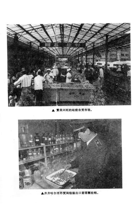 《齐齐哈尔市商业志》.pdf电子版_黑龙江省志插图5