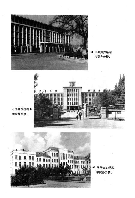 《齐齐哈尔市建筑志》.pdf电子版_黑龙江省志插图3