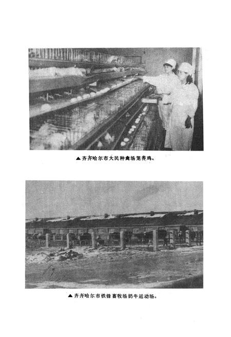 《齐齐哈尔市农业志》.pdf电子版_黑龙江省志插图1