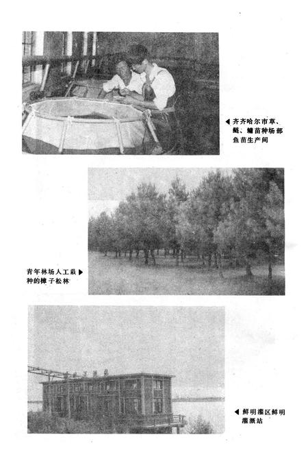 《齐齐哈尔市农业志》.pdf电子版_黑龙江省志插图2