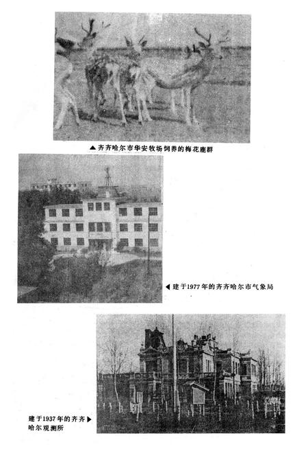 《齐齐哈尔市农业志》.pdf电子版_黑龙江省志插图3