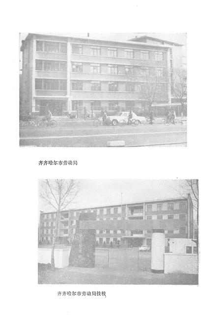 《齐齐哈尔市劳动志》.pdf电子版_黑龙江省志插图4 《齐齐哈尔市劳动志》.pdf电子版_黑龙江省志插图4