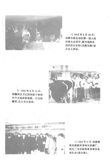 《齐齐哈尔市民族志》.pdf电子版_黑龙江省志插图5