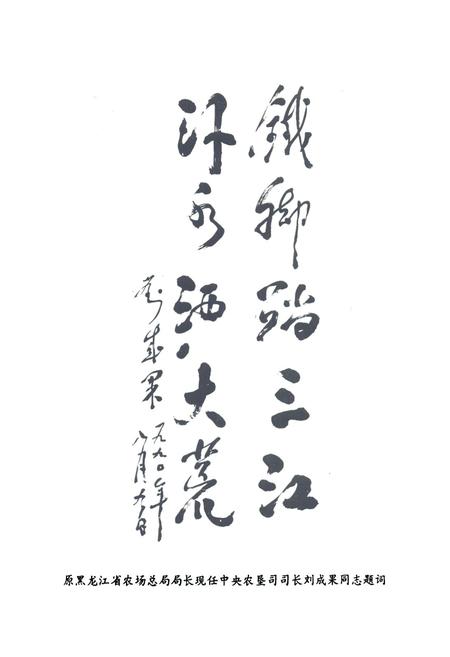 《黑龙江农垦勘测设计院院志》.pdf电子版_黑龙江省志插图3