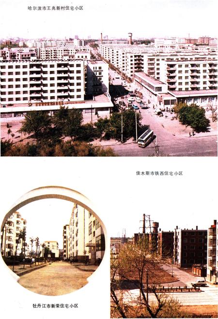 《黑龙江省建设志》.pdf电子版_黑龙江省志插图5