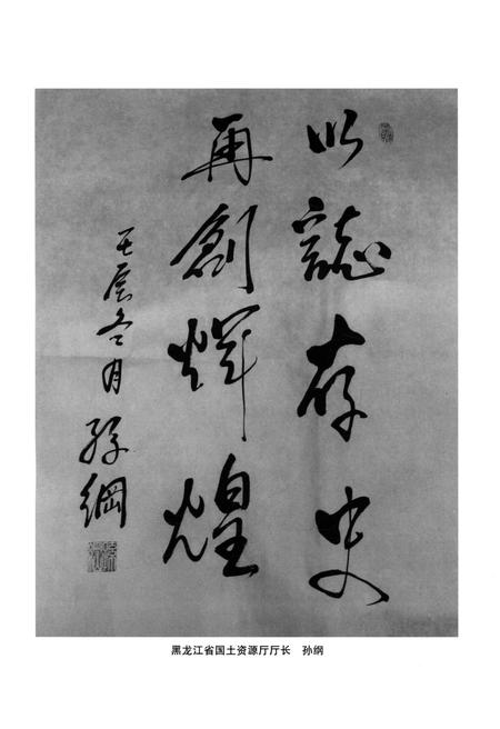 《黑龙江省国土资源勘测规划院院志》.pdf电子版_黑龙江省志插图4