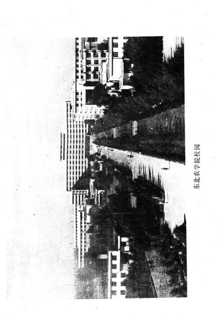 《东北农学院校史 1948-1988》.pdf电子版_黑龙江省志插图3