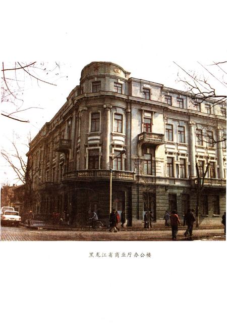 《黑龙江商业通览 上》.pdf电子版_黑龙江省志插图4