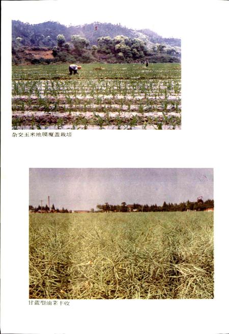 《湖北省志 农业（上）》.pdf电子版_湖北省志插图4