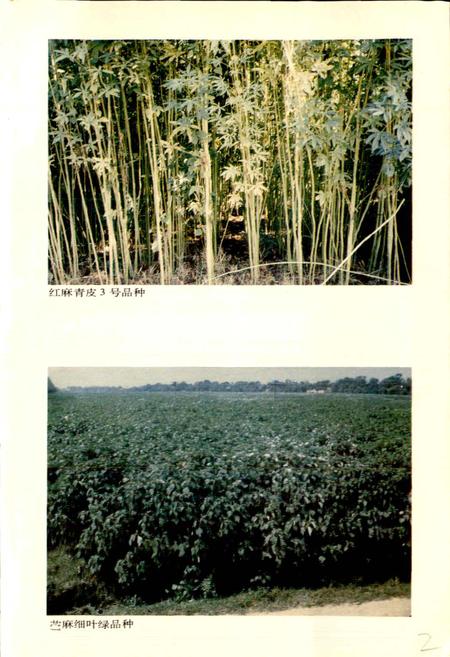 《湖北省志 农业（上）》.pdf电子版_湖北省志插图5