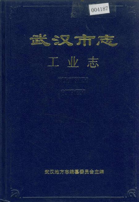 《武汉市志 工业志 下卷》.pdf电子版_湖北省志插图