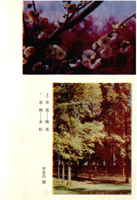 《武汉园林》.pdf电子版_湖北省志插图5
