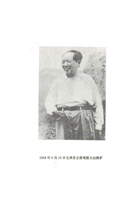 《冶矿团志》.pdf电子版_湖北省志插图5