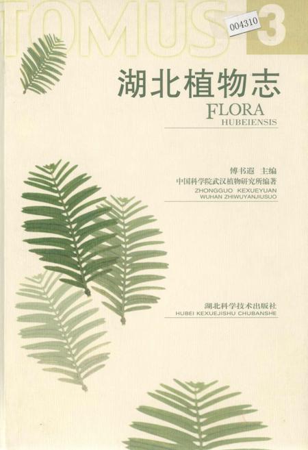 《湖北植物志3》.pdf电子版_湖北省志插图 《湖北植物志3》.pdf电子版_湖北省志插图