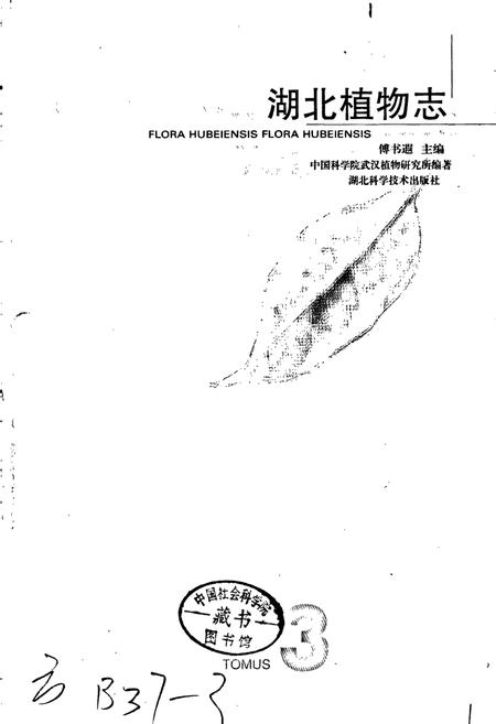 《湖北植物志3》.pdf电子版_湖北省志插图1 《湖北植物志3》.pdf电子版_湖北省志插图1
