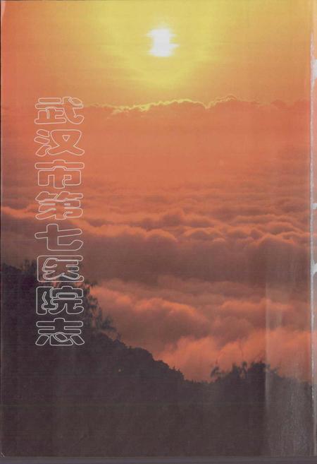 《武汉市第七医院志》.pdf电子版_湖北省志插图1