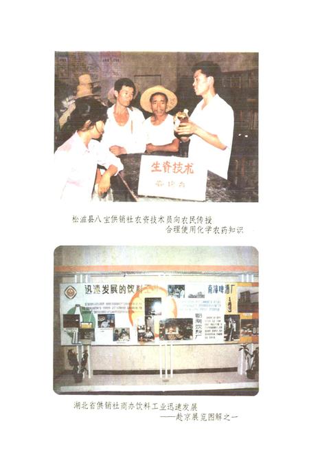 《湖北省供销合作社志》.pdf电子版_湖北省志插图5