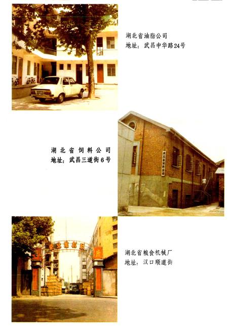 《湖北粮食志》.pdf电子版_湖北省志插图3