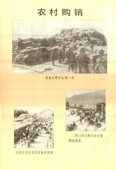 《湖北粮食志》.pdf电子版_湖北省志插图5