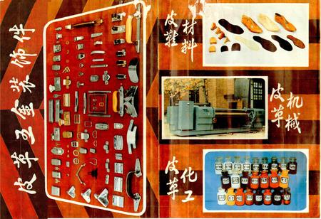 《武汉皮革工业志》.pdf电子版_湖北省志插图3