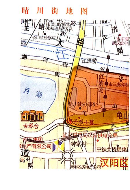 《晴川街志》.pdf电子版_湖北省志插图2