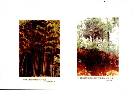 《武昌县土壤志》.pdf电子版_湖北省志插图5 《武昌县土壤志》.pdf电子版_湖北省志插图5