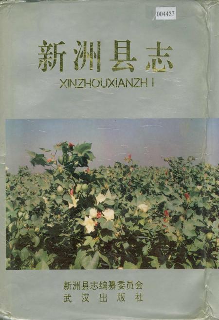 《新洲县志》.pdf电子版_湖北省志插图