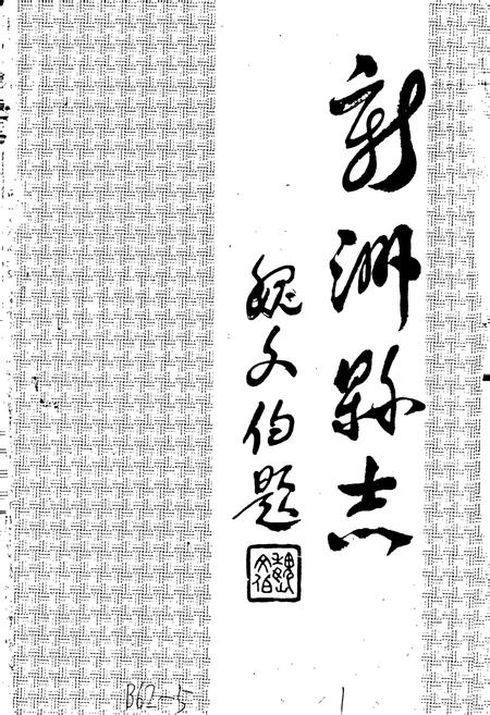 《新洲县志》.pdf电子版_湖北省志插图1