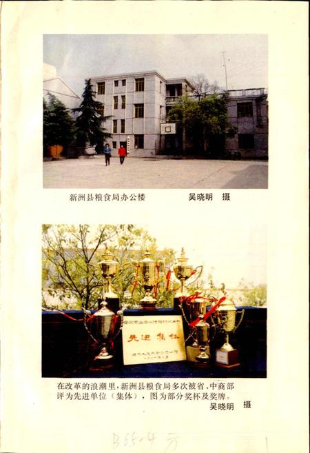 《新洲县粮食志》.pdf电子版_湖北省志插图1