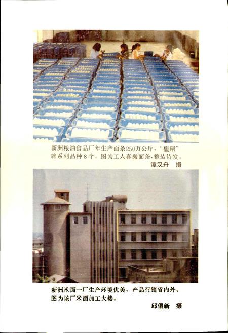 《新洲县粮食志》.pdf电子版_湖北省志插图4