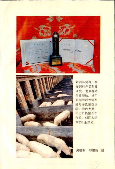 《新洲县粮食志》.pdf电子版_湖北省志插图5