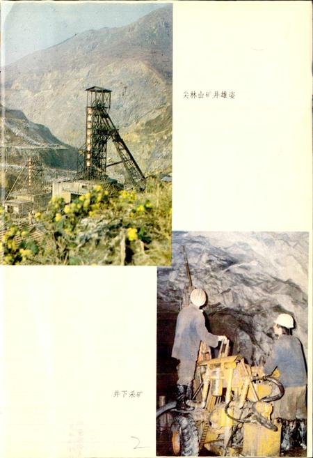 《大冶铁矿志 第一卷 下册》.pdf电子版_湖北省志插图2