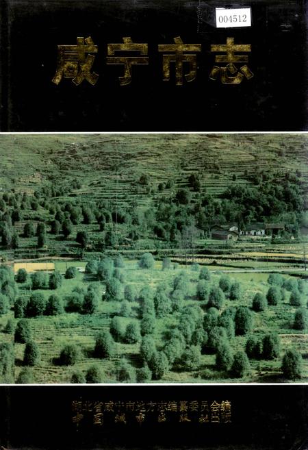 《咸宁市志》.pdf电子版_湖北省志