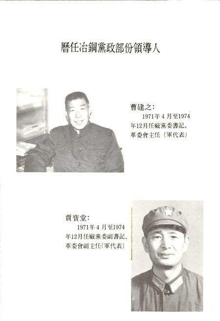 《大冶钢厂志 第三卷》.pdf电子版_湖北省志插图4