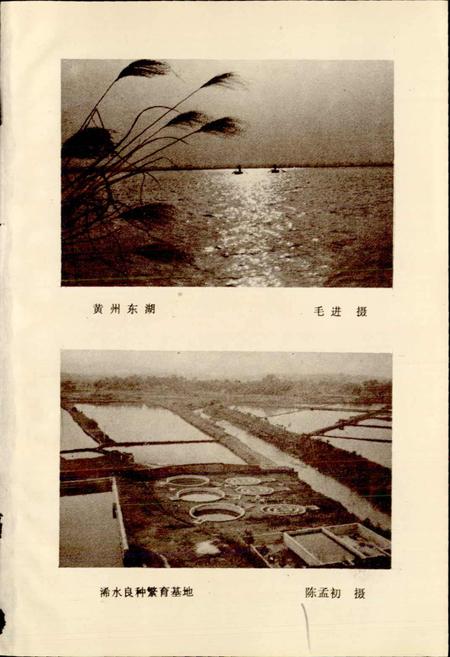 《黄冈地区水产志》.pdf电子版_湖北省志插图2