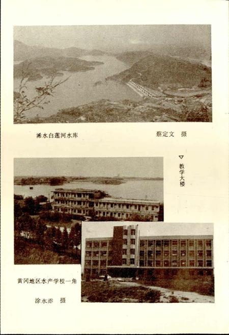 《黄冈地区水产志》.pdf电子版_湖北省志插图5